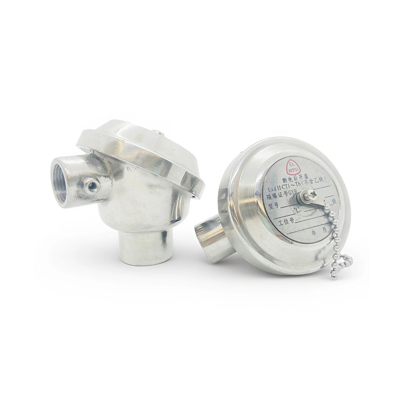 Explosion-Proof Thermocouple Head