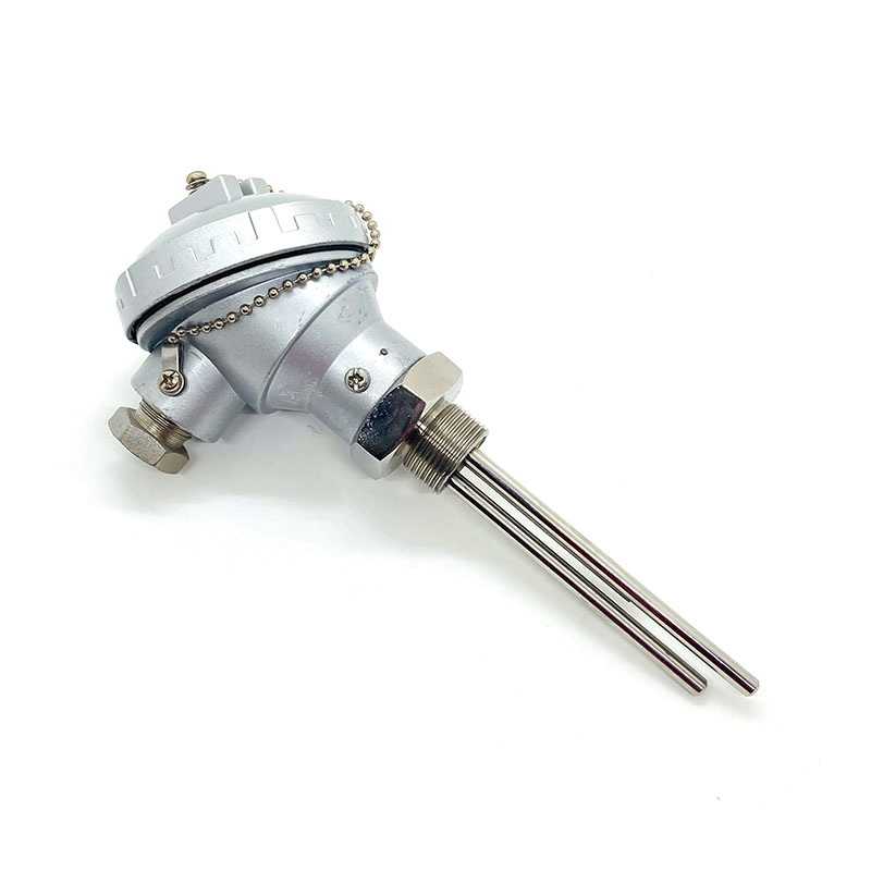 Multi-point Armored Thermocouples & RTDs with Thermocouple Head