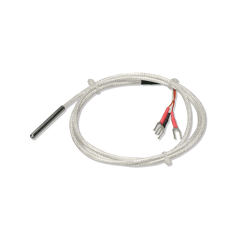 Stainless Steel Probe-Type PT100 RTD Temperature Sensor