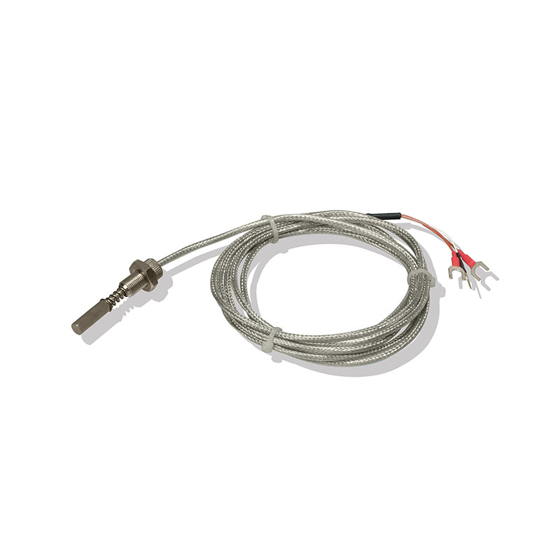 End-face Pt100 Platinum RTD Temperature Sensor