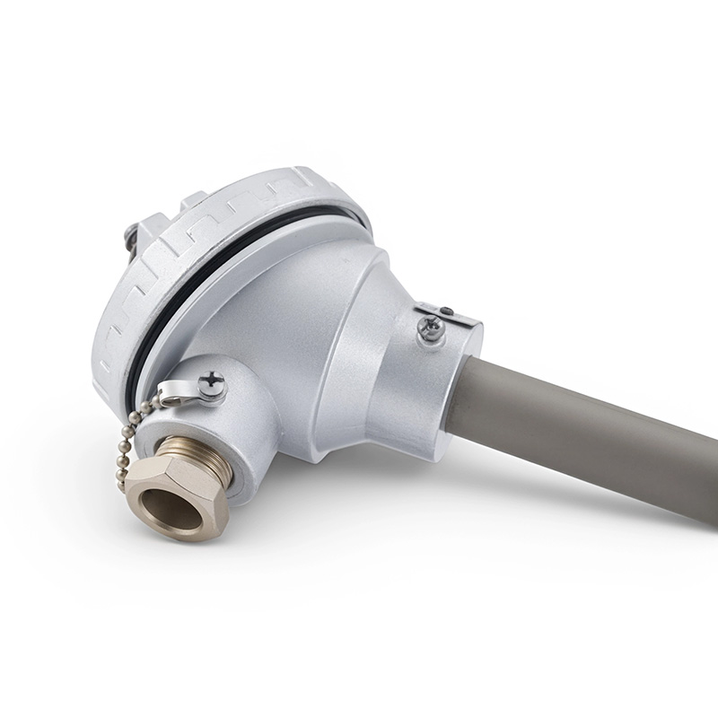 Abrasion-resistant Thermocouples & RTDs