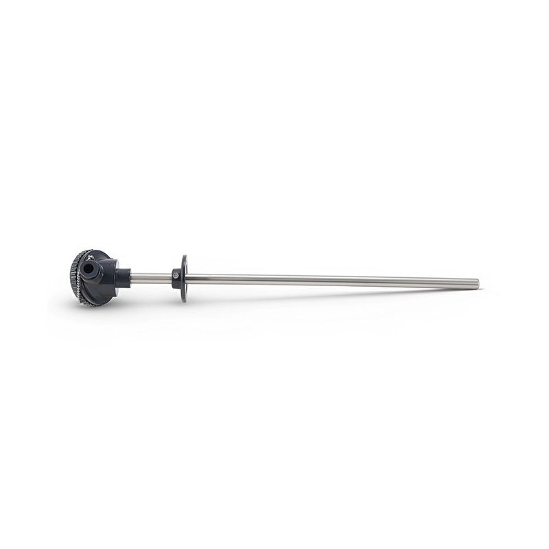Thermocouples and RTDs with Movable Flanges